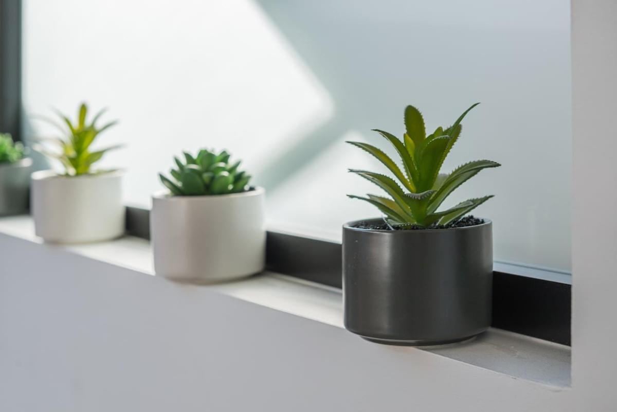 Le Cocon Apartment